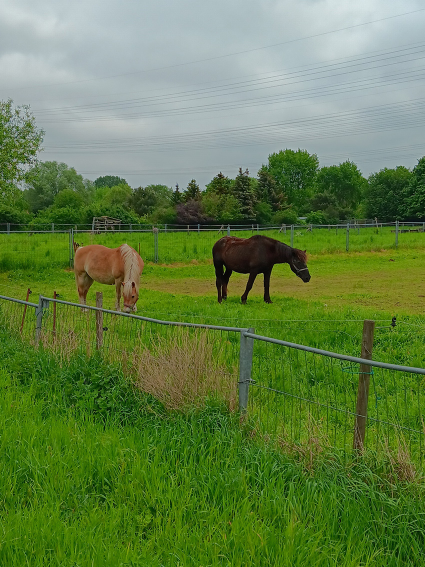 Wanderung5